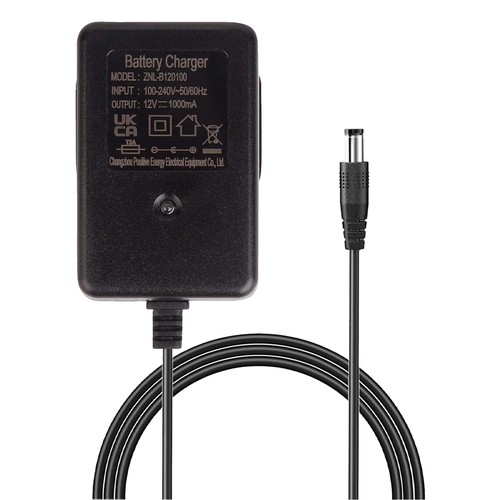 12v 1000ma battery charger - 1000ma, for